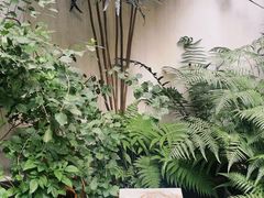 -Kekimatata 生日蛋糕·烘焙教学