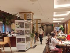 -北京全聚德(西翠路店)