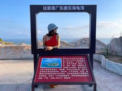 -广东惠东海龟国家级自然保护区