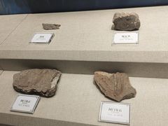 -辽宁古生物博物馆