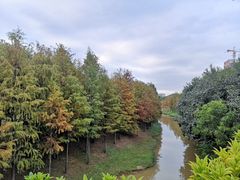 -聚龙山公园