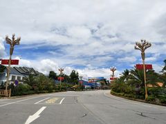 -打洛口岸