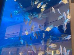 -迪拜水族馆及水下动物园