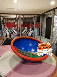-meland club亲子乐园(重庆万象城店)