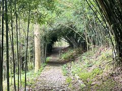 -潜山国家森林公园