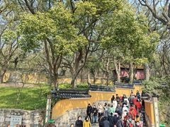 -普陀山风景名胜区-法雨禅寺