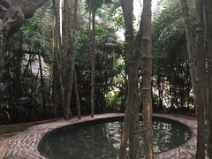 -龙达温泉生态城