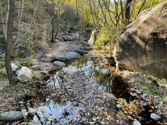 -云岫谷游猎自然风景区