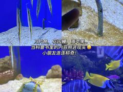-重庆欢乐海底世界