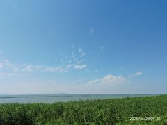 -贡湖湾湿地公园