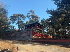 -普乐寺