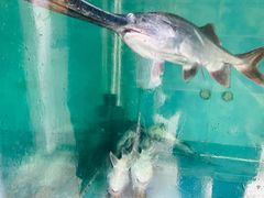 -漓江又一軒·广西菜·桂林米粉(梅林店)