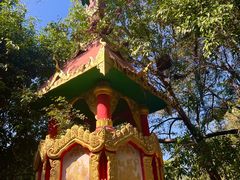 -瑞丽独树成林风景区