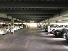 -上海植物园·停车场