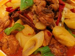 -新疆兵团食府清真(马连道店)