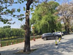 -圆明园停车场