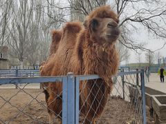 -长白岛森林公园