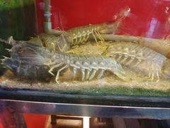 -大树下海鲜饭店