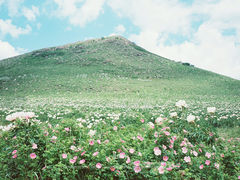 -186彩带河