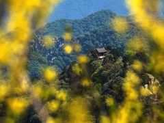 -少华山国家森林公园