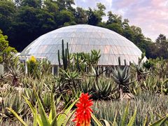 -深圳仙湖植物园