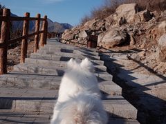 -白水寺森林公园