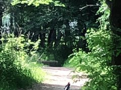 -长春市南湖公园