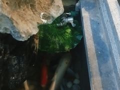 -知足堂养生会所(碑亭巷店)