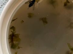 -四宜糕团店(南大街店)