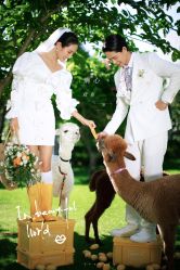 -太古映画婚纱摄影(天河店)