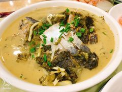 马鲛鱼-红灯笼龙凤饭店(宁波老字号店)