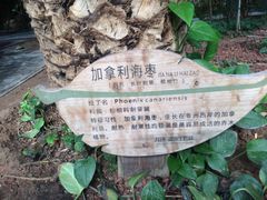 -龙达温泉生态城