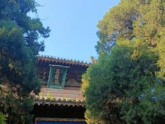 -洛阳白马寺