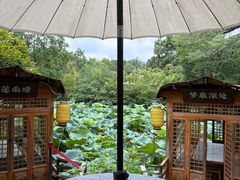 -绿茶餐厅(龙井船宴· 品牌总店)