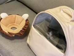 -宠爱国际动物医院· 猫科· 外科·中兽医(长白店)