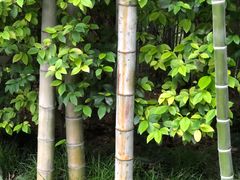 -苏州河梦清园环保主题公园