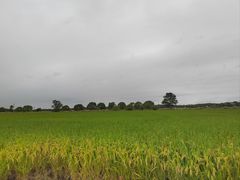 -嘉北郊野公园
