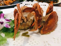 -友强·23年特色海鲜大排档(厦门店)
