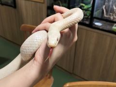 -藦茜花园宠物主题亲子互动体验馆(国顺东路店)