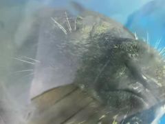 -左海海底世界