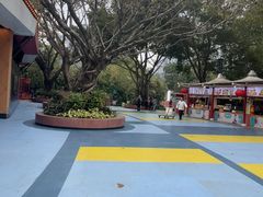 -广州长隆国际大马戏