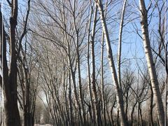 -东郊湿地公园