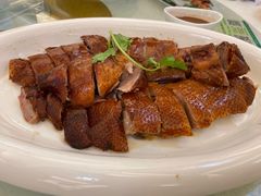 -椿记烧鹅(叠彩店)