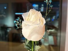 -人间酒暖·Go blanc·烧鸟·深夜食堂(陆家嘴店)