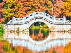 -中国科学院华南植物园