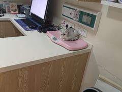 -美迦爱-牙专科·兔科·骨科诊疗中心(北苑店)