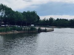 -永定河休闲森林公园