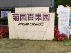 -菊园百果园