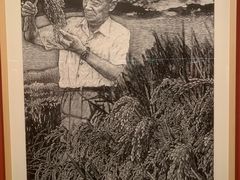 -江苏省美术馆(长江路新馆)