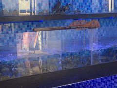 -七的湖·晚芳亭·阳澄湖农家菜·大闸蟹(莲花岛店)